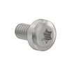 SCREW - MACHINE, PAN HEAD INTERNAL HEAD, 6-32, ZINC