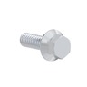 SCREW - HEXAGONAL FLANGE, 1/4 - 20