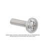 SCREW AND WASH M8X1.25X38